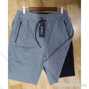 Shorts men's shorts (m-xxl) BENTER BES2328415