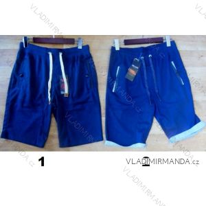 Shorts men's shorts (m-xxl) BENTER 98859
