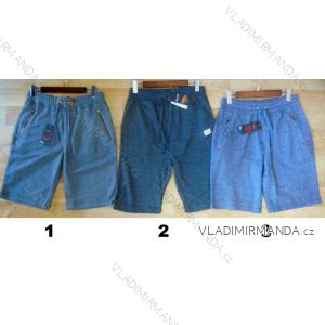 Shorts men's shorts (m-xxl) BENTER 46154
