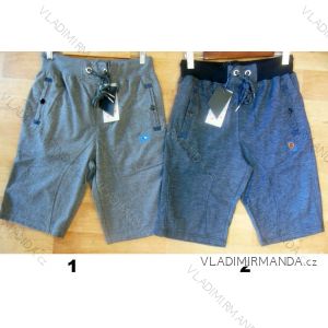 Shorts men's shorts (l-3xl) PAL FASHION QN113A
