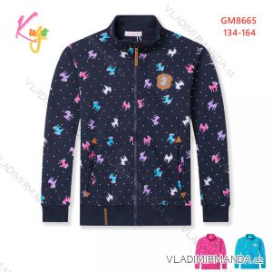 Sweatshirt warm warm-up girl zip (134-164) KUGO M2513