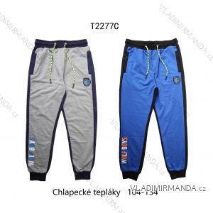 Sweatpants long youth adolescent boys (104-134) WOLF T2277C