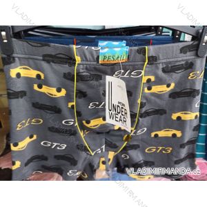 Children's cotton boxer shorts for boys (2-10 years) PESAIL PES23QX2681