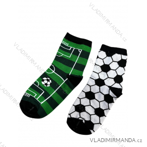 Men's socks thin (42-46) POLISH MODA DPP20003