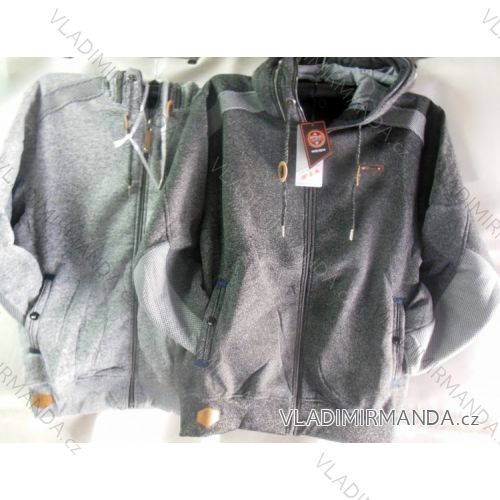 Sweatshirt warm boys (134-164) PAL DA-680M
