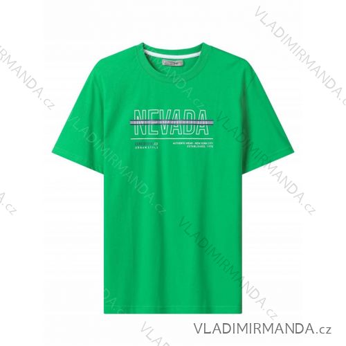 T-shirt short sleeve men's (M-2XL) GLO-STORY GLO24MPO-3524