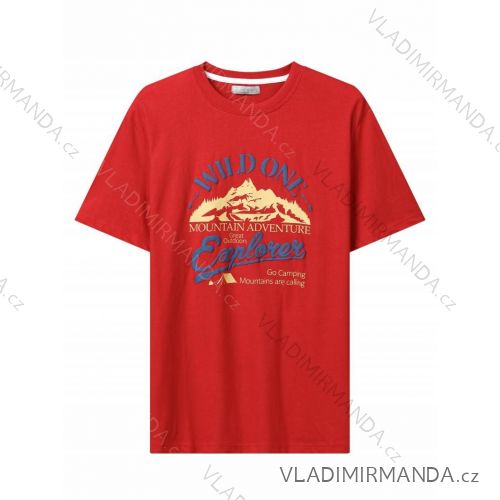 T-shirt short sleeve men's (M-2XL) GLO-STORY GLO24MPO-3488