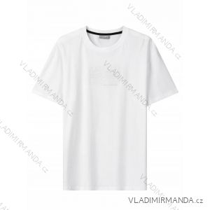 T-shirt short sleeve men's plus size (3XL-5XL) GLO-STORY GLO24MPO-3510