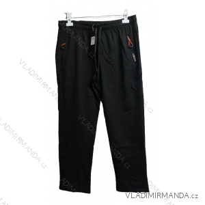 Slim men's sweatpants (XL-4XL EPISTER BES2428438