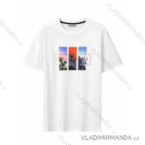 T-shirt short sleeve men's (M-2XL) GLO-STORY GLO24MPO-3501