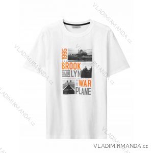 T-shirt short sleeve men's (M-2XL) GLO-STORY GLO24MPO-3462
