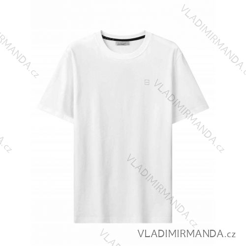T-shirt short sleeve men's (M-2XL) GLO-STORY GLO24MPO-3540