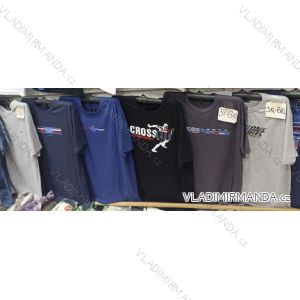 Men's short sleeve T-shirt (3XL-6XL OBC24PAN11