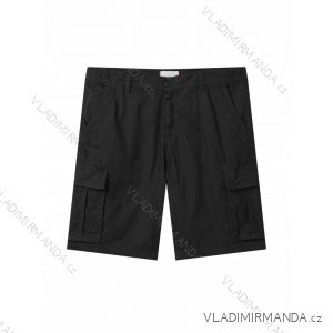 Men's Shorts Plus Size (3XL-6XL) GLO-STORY GLO24MK-4393-1