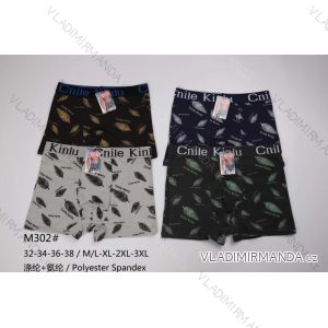 Men's boxer shorts (M-3XL) WD24M302