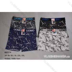 Men's boxer shorts (XL-3XL) WD24B6057