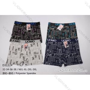 Men's boxer shorts L-3XL WD23N1818