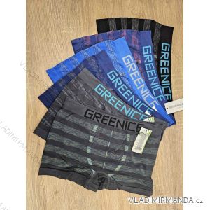 Men's Boxer Shorts Plus Size (XL/2XL) GREENICE GREE244587