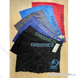 Boxer shorts men's plus size (XL/2XL) GREENICE GREE244864