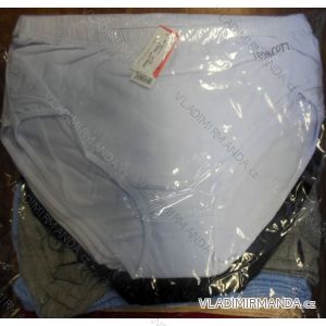 Ladies' Oversized Panties (m-4xl) TINA SHAN M-2819
