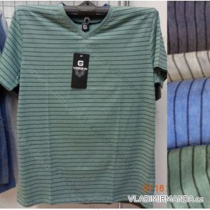 T-shirt short sleeve men (m-2xl) VOGUE IN 67305

