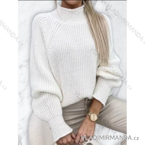 Women's Long Sleeve Turtleneck Knitted Sweater (XL/2XL ONE SIZE) ITALIAN FASHION IMD22948