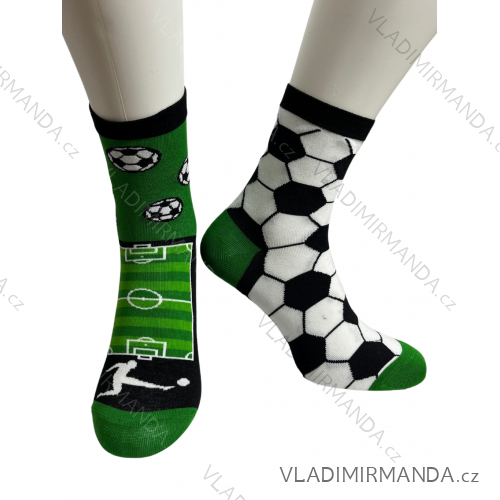 Men's socks thin (42-46) POLISH MODA DPP20003  green