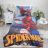 Bedding Bedding Spiderman (140 * 200cm; 70 * 90cm) SETINO 710-218