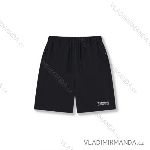 Men's cotton shorts oversized (M-3XL) WOLF T2543
