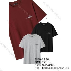 Men's short sleeve T-shirt (M-2XL) GLO-STORY GLO25MPO-4730