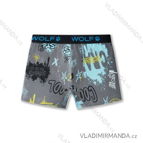 Boys' boxer shorts (98/104 - 122/128) WOLF L2581