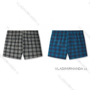Men's boxers (M-3XL) WOLF L2584
