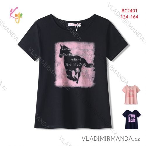 T-shirt short sleeve boys (134-164) KUGO DL0011