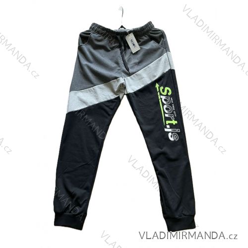 Warm men's sweatpants, oversized (L-3XL) SEZON SEZ25T720