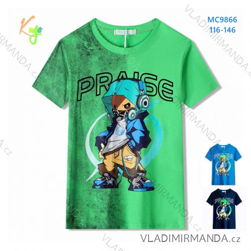 T-shirt short sleeve boys (134-164) KUGO DL0011