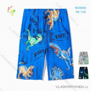 T-shirt short sleeve boys (134-164) KUGO DL0011