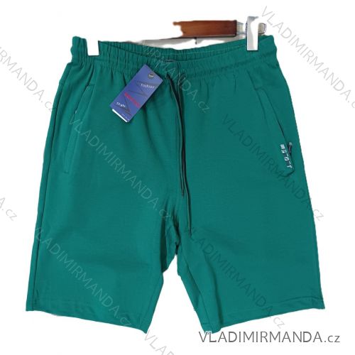 Men's shorts (M-2XL) BENTER BES2528769