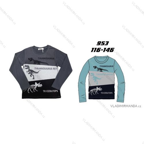Long sleeve T-shirt for children and teenagers, boys (116-146) SEASON SEZ25FN953