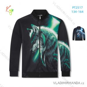 Warm long-sleeved sweatshirt for boys (134-164) KUGO PT2517