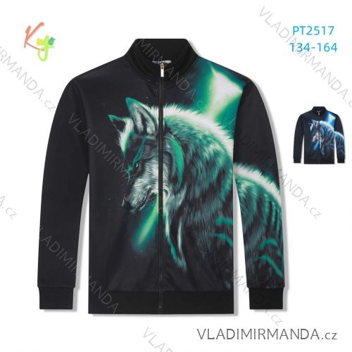 Warm long-sleeved sweatshirt for boys (134-164) KUGO PT2517