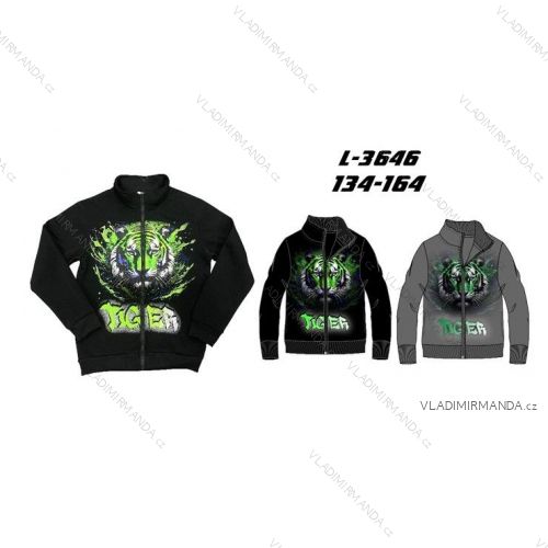 Warm sweatshirt with zipper, long sleeves, for boys (134-164) SEZON SEZ25L-3646