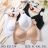 Bras catalog women's seamless (S-2XL, XL-3XL) HANA, HEAT, MAGNOLIA MAG25ZARI