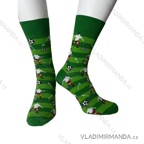 Men's socks thin (42-46) POLISH MODA DPP20003