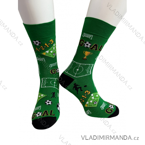 Men's socks thin (42-46) POLISH MODA DPP20003  green
