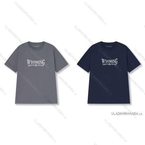 Men's short sleeve T-shirt, oversized (M-3XL) WOLF S2571/PIECE