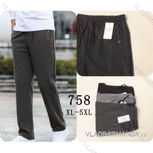 Warm men's sweatpants, oversized (L-3XL) SEZON SEZ25T721