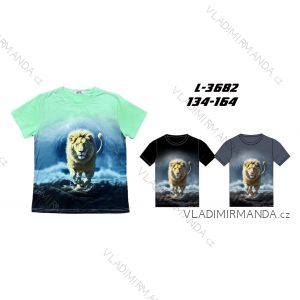 Warm men's sweatpants, oversized (L-3XL) SEZON SEZ25T721