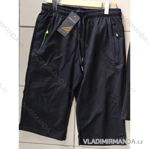 Men's shorts (XL-4XL) BENTER BES26-28753