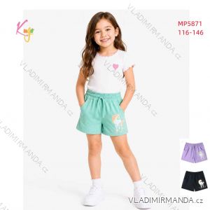 Men's shorts oversized (M-3XL) KUGO ZS8830