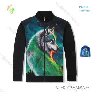 Warm sweatshirt with zipper, long sleeves, children's to youth boys (116-146) KUGO PT2515
